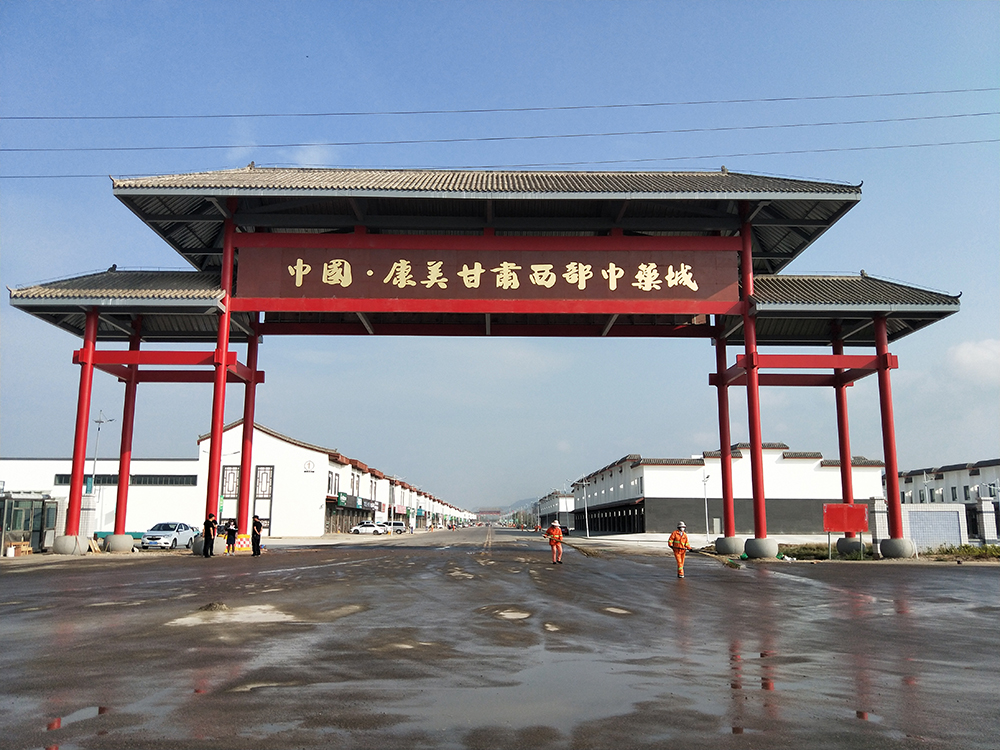 甘肃省康美药业雕刻工程