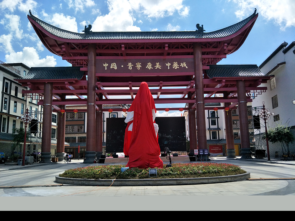 广东省普宁市康美药业李时珍雕刻