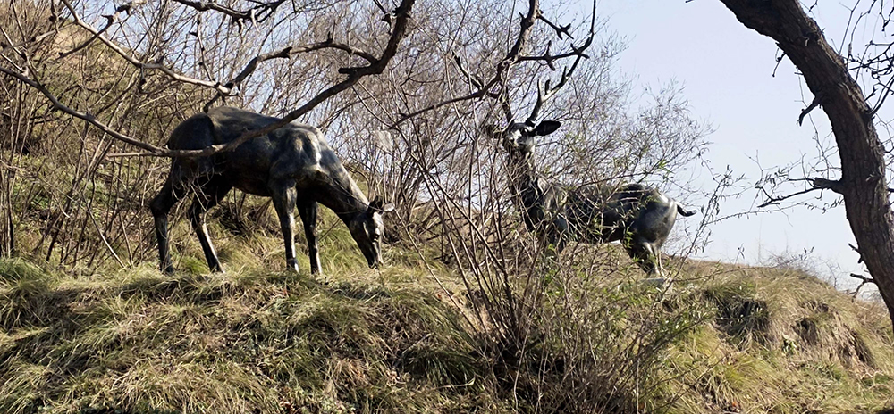 山西省襄汾县丁村