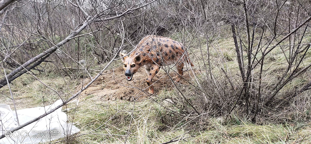 山西省襄汾县丁村